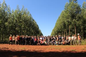 Consorcio Forestal Norte