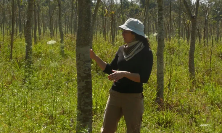 Mujeres forestales